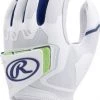 Rawlings Workhorse Pro Adult Softball FPWPBG
