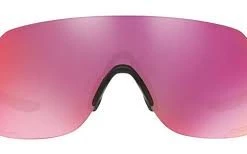 Oakley EVZERO Stride Silver 93860438