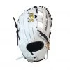 Louisville TPS Slopitch 13.5" Fielding Glove WBG
