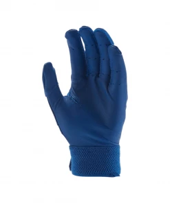 Nike Alpha Huarache Elite Batting Glove Royal