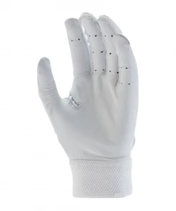Nike Alpha Huarache Elite Batting Glove White/Silver