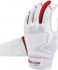 Rawlings Workhorse Pro Adult Softball FPWPBG