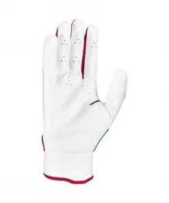 Nike Trout Edge Batting Gloves 2.0 White - Royal - Red