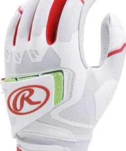 Rawlings Workhorse Pro Adult Softball FPWPBG
